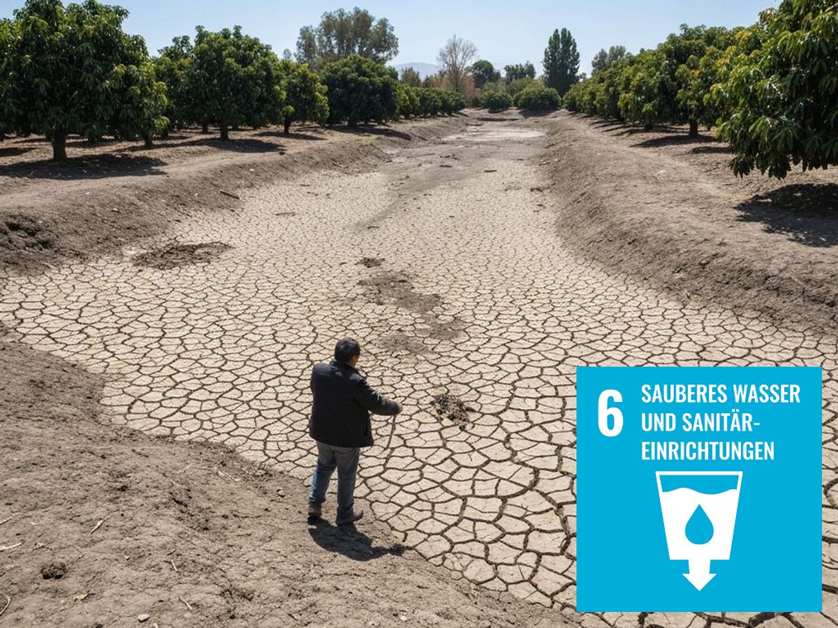 Cover-Bild der Rätseltour Heimspiel: Die trockene Wahrheit